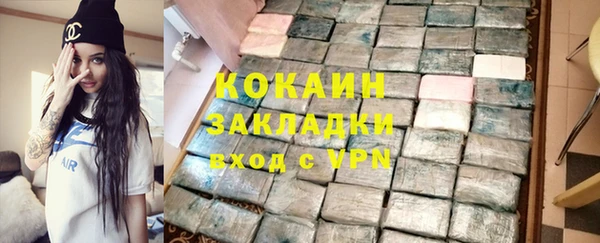 дмт Пересвет