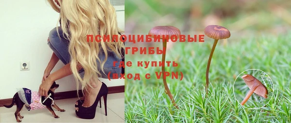 таблы Белая Холуница