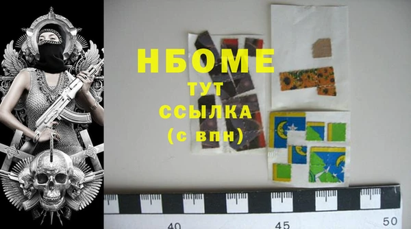дмт Пересвет